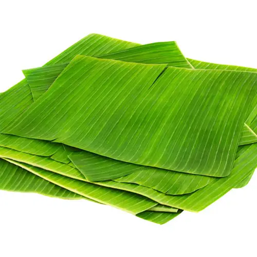 BANANA LEAF 1 U