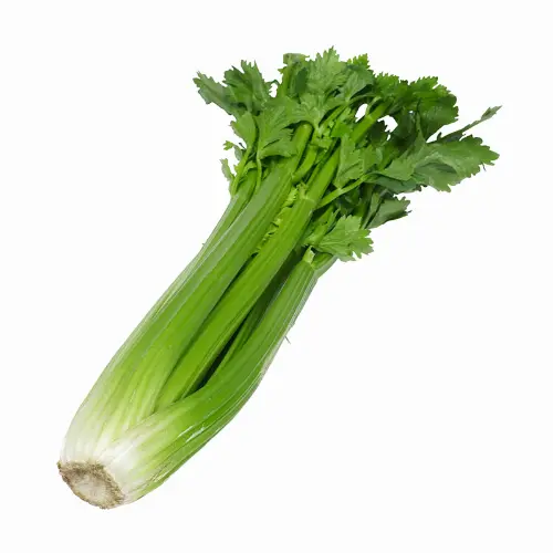 Celery (per Kg)