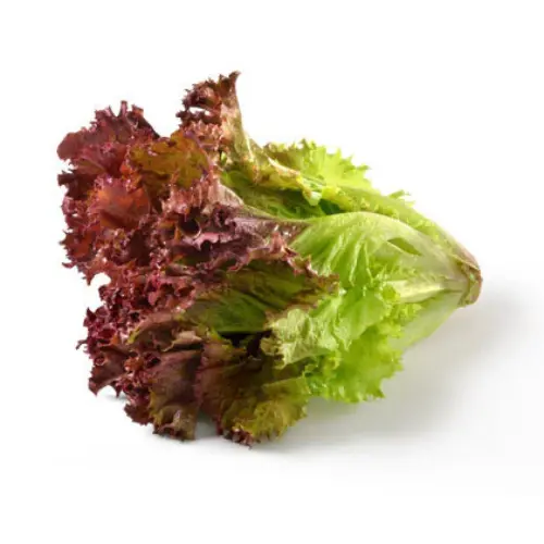Lettuce Red (per Kg)