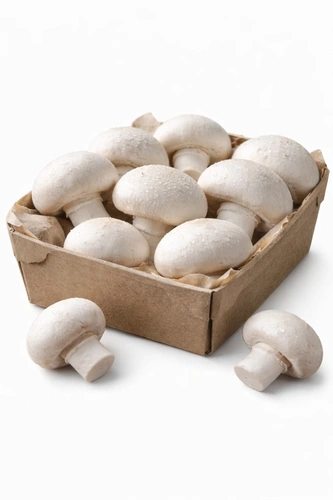 Horeca Pack Mushroom Button 200g